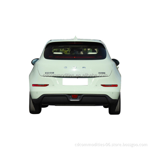 2023 Popular Adult Four Wheel Electric New Energy Mini Electric Car ORA Good Cat